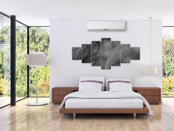 Obraz - Sušená pampová tráva (210x100 cm)