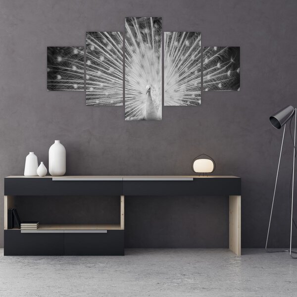 Obraz - Bílý páv (125x70 cm)