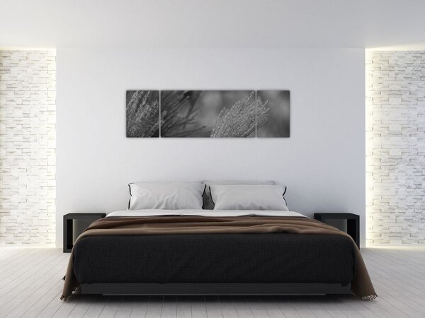 Obraz - Sušená pampová tráva (170x50 cm)
