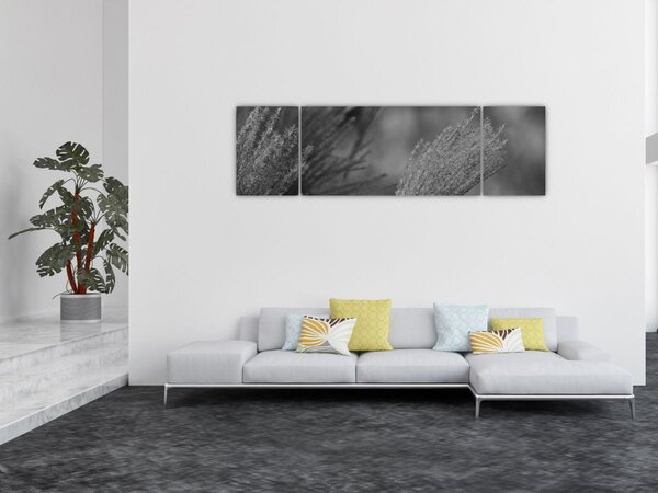 Obraz - Sušená pampová tráva (170x50 cm)