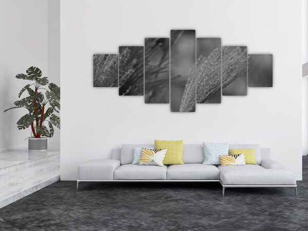 Obraz - Sušená pampová tráva (210x100 cm)