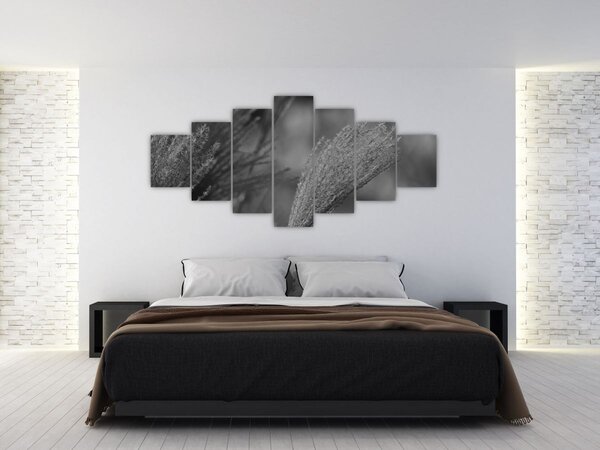 Obraz - Sušená pampová tráva (210x100 cm)