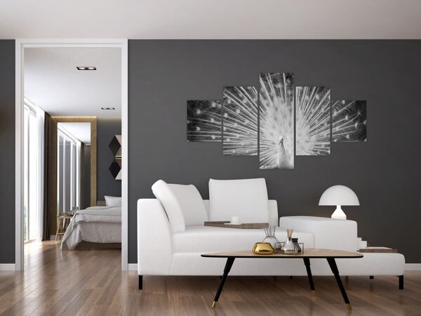 Obraz - Bílý páv (125x70 cm)