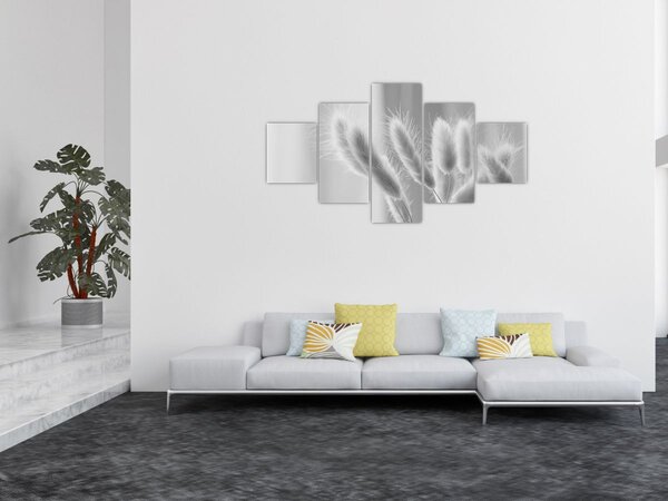 Obraz - Bunny tail grass (125x70 cm)