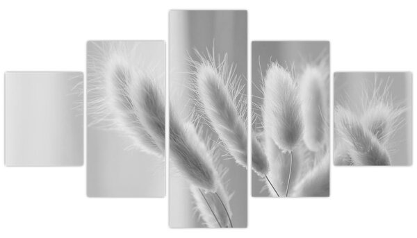 Obraz - Bunny tail grass (125x70 cm)