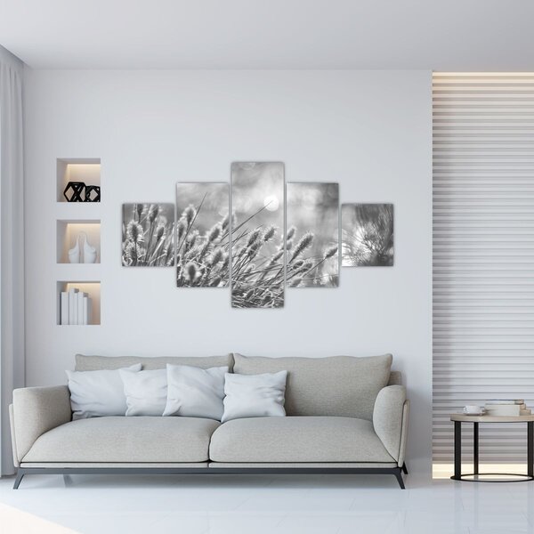 Obraz - Béžová soft grass N⁰1 (125x70 cm)