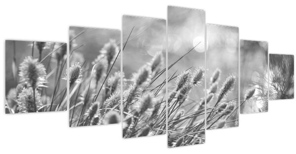 Obraz - Béžová soft grass N⁰1 (210x100 cm)