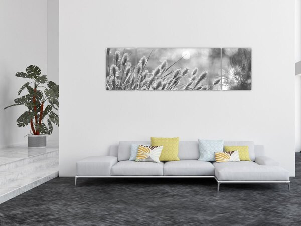 Obraz - Béžová soft grass N⁰1 (170x50 cm)
