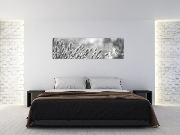 Obraz - Béžová soft grass N⁰1 (170x50 cm)