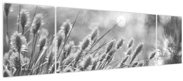 Obraz - Béžová soft grass N⁰1 (170x50 cm)