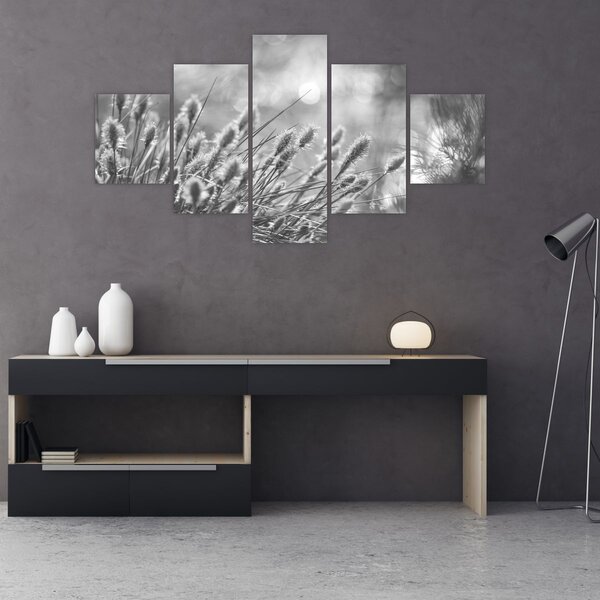 Obraz - Béžová soft grass N⁰1 (125x70 cm)