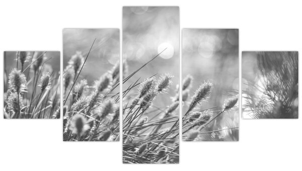 Obraz - Béžová soft grass N⁰1 (125x70 cm)
