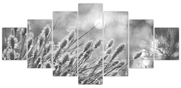 Obraz - Béžová soft grass N⁰1 (210x100 cm)