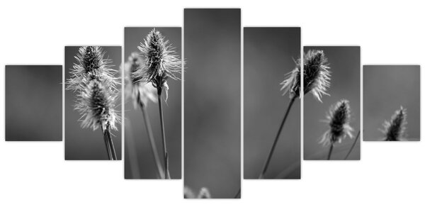 Obraz - Béžová soft grass N⁰2 (210x100 cm)