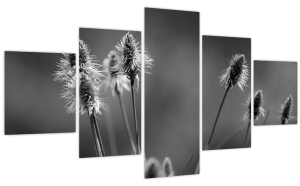 Obraz - Béžová soft grass N⁰2 (125x70 cm)