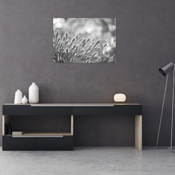 Obraz - Béžová soft grass N⁰1 (70x50 cm)