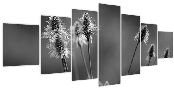 Obraz - Béžová soft grass N⁰2 (210x100 cm)