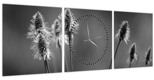 Obraz - Béžová soft grass N⁰2 (s hodinami) (90x30 cm)