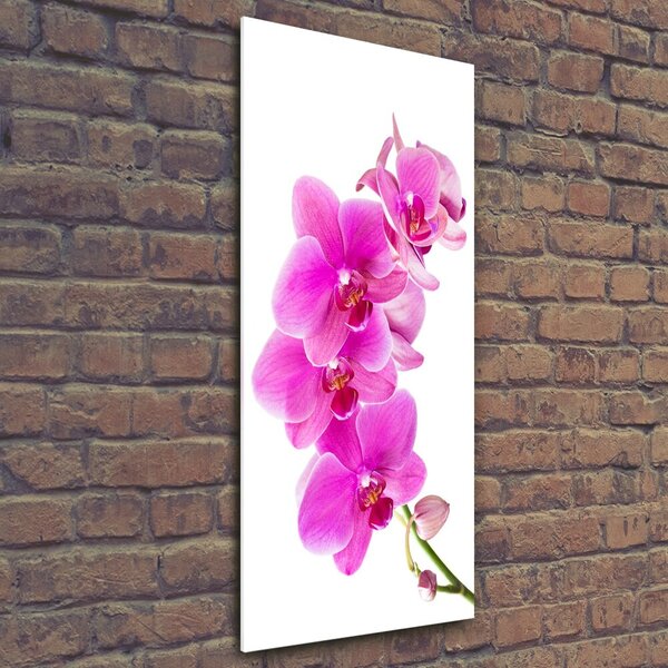 Vertikální Fotoobraz na skle Růžová orchidej osv-67673367