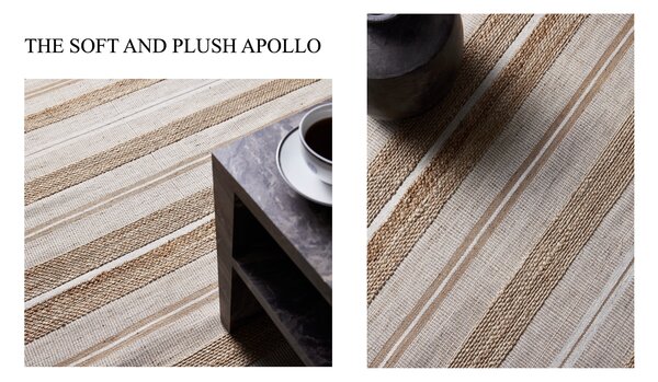 Diamond Carpets India, Ručně vázaný kusový koberec Praha HL 80 Natural Silver, 120x170, béžová, chodba / předsíň