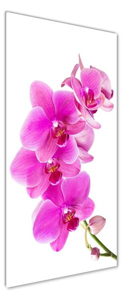 Vertikální Fotoobraz na skle Růžová orchidej osv-67673367