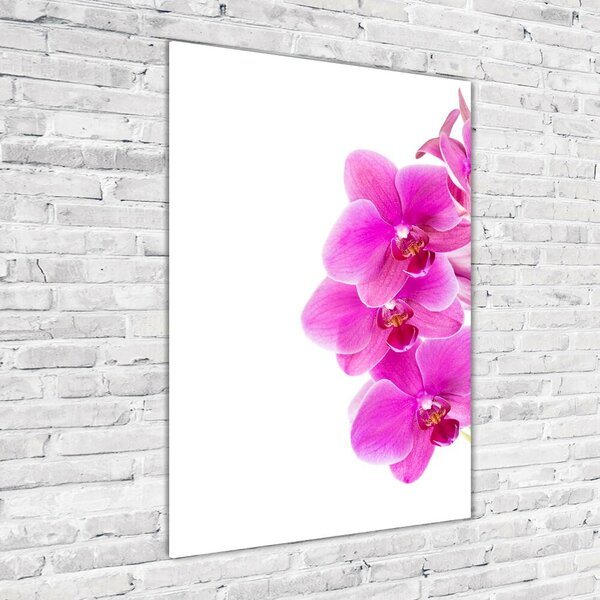 Vertikální Fotoobraz na skle Růžová orchidej osv-67673367