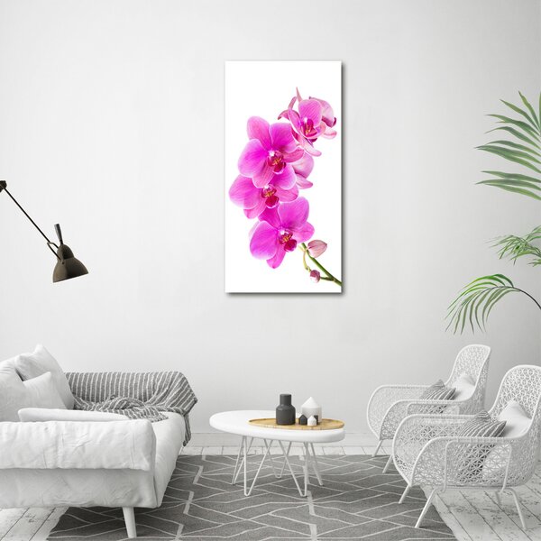 Vertikální Foto obraz na plátně Růžová orchidej ocv-67673367
