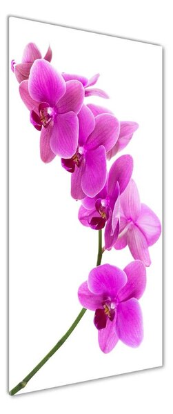 Vertikální Fotoobraz na skle Růžová orchidej osv-67691978