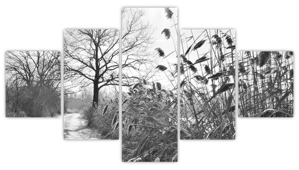 Obraz - Pole v zimě (125x70 cm)