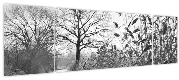 Obraz - Pole v zimě (170x50 cm)