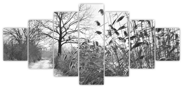 Obraz - Pole v zimě (210x100 cm)