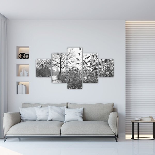 Obraz - Pole v zimě (125x70 cm)