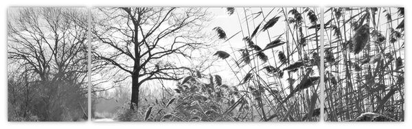 Obraz - Pole v zimě (170x50 cm)
