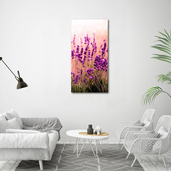 Vertikální Foto obraz canvas Pole levandule ocv-67946318