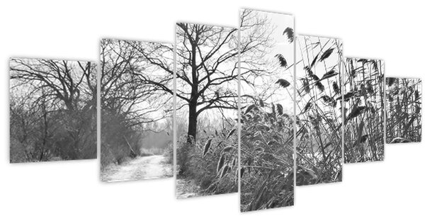 Obraz - Pole v zimě (210x100 cm)