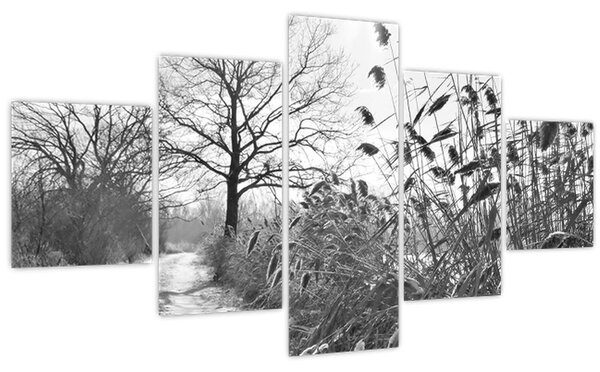 Obraz - Pole v zimě (125x70 cm)