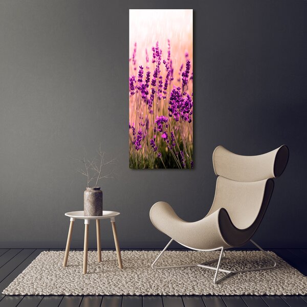Vertikální Foto obraz canvas Pole levandule ocv-67946318