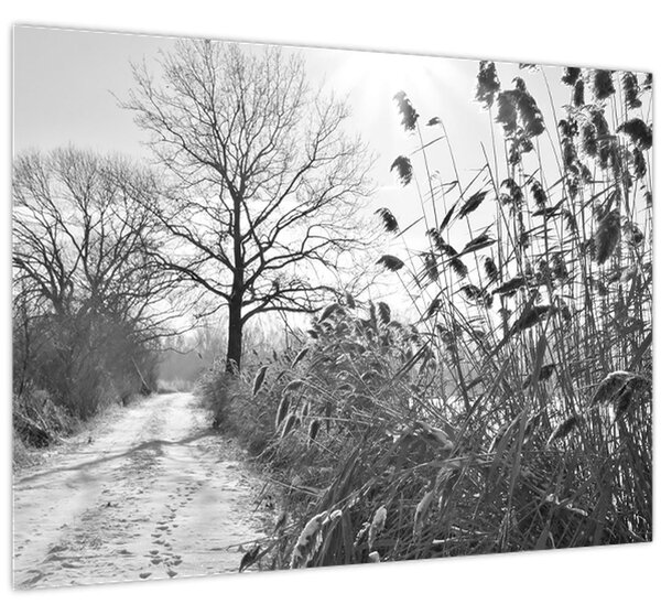 Obraz - Pole v zimě (70x50 cm)