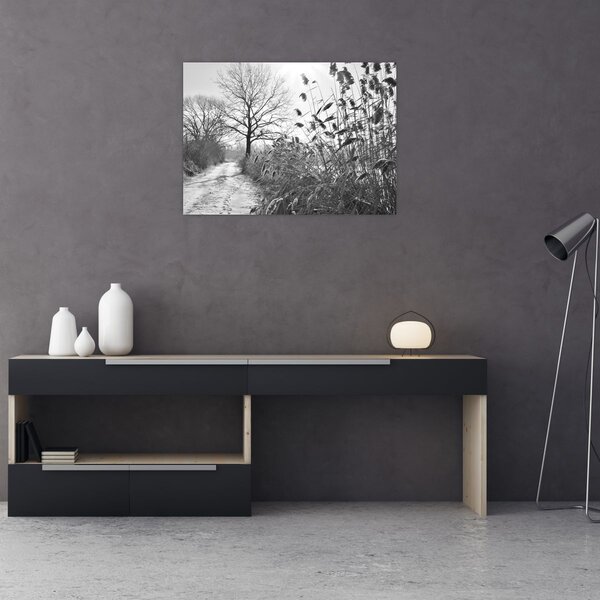 Obraz - Pole v zimě (70x50 cm)