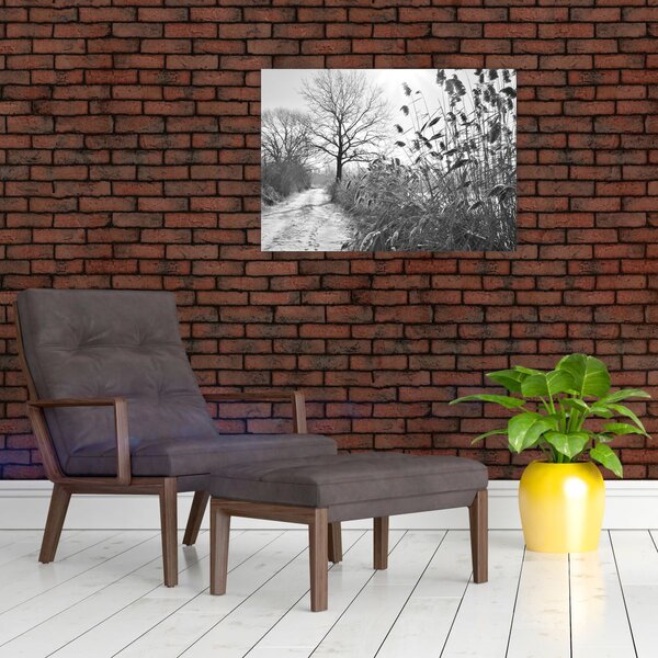 Obraz - Pole v zimě (70x50 cm)