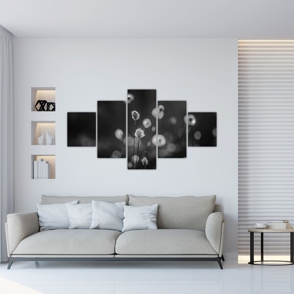 Obraz - Cottongrass na louce (125x70 cm)