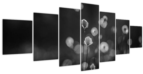 Obraz - Cottongrass na louce (210x100 cm)