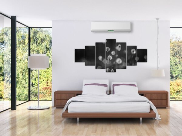 Obraz - Cottongrass na louce (210x100 cm)
