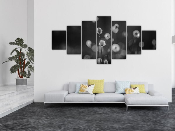 Obraz - Cottongrass na louce (210x100 cm)
