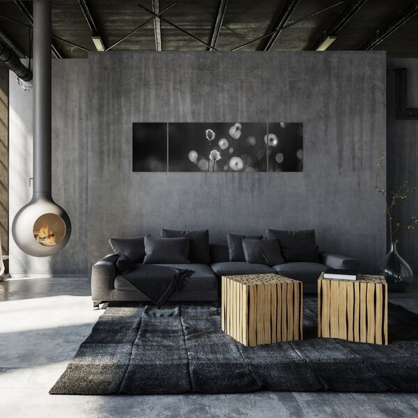 Obraz - Cottongrass na louce (170x50 cm)
