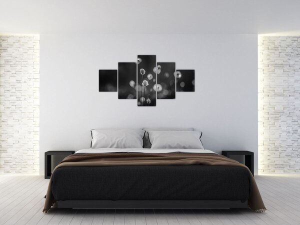 Obraz - Cottongrass na louce (125x70 cm)