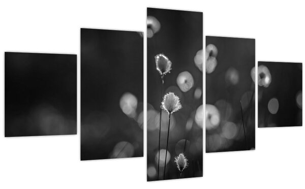 Obraz - Cottongrass na louce (125x70 cm)