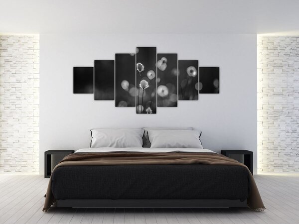 Obraz - Cottongrass na louce (210x100 cm)