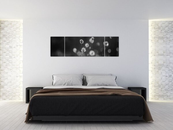 Obraz - Cottongrass na louce (170x50 cm)
