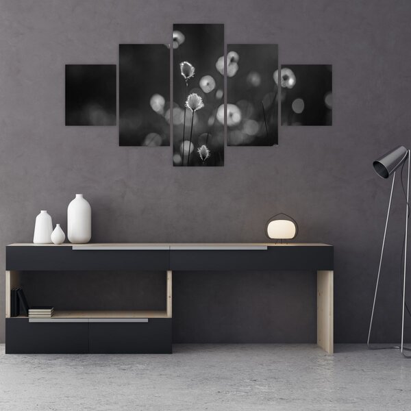 Obraz - Cottongrass na louce (125x70 cm)